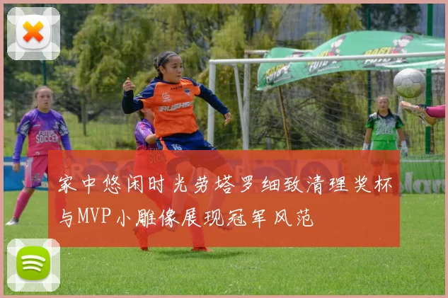 家中悠闲时光劳塔罗细致清理奖杯与MVP小雕像展现冠军风范